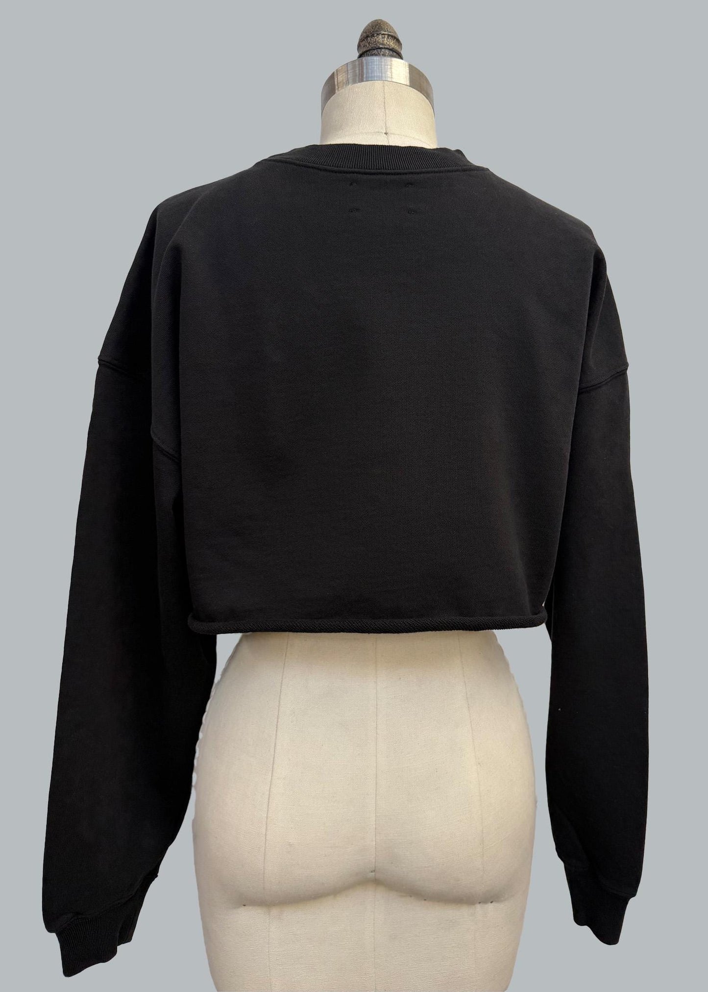 Sporty Crop Sweatshirt: Organic Cotton Long Sleeve, Made in USA